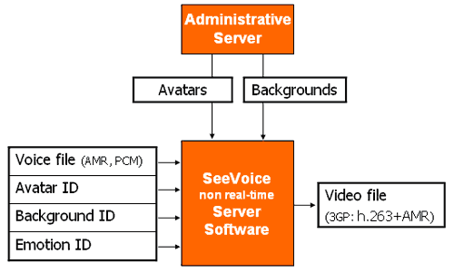 SeeVoice nonrealtime