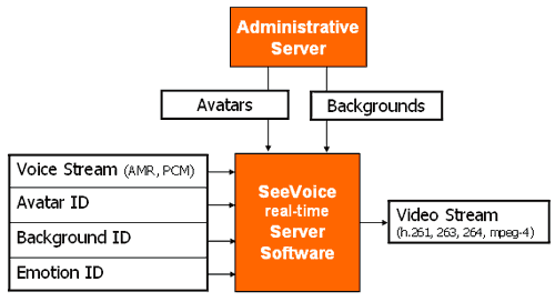 SeeVoice Real-time